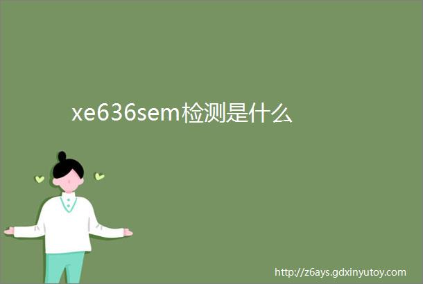 xe636sem检测是什么